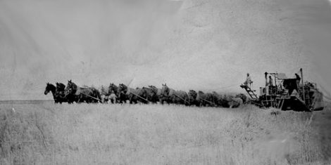 Antique Combine Questions and Answers Image